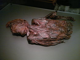 Day 13 - National Museum of Ireland