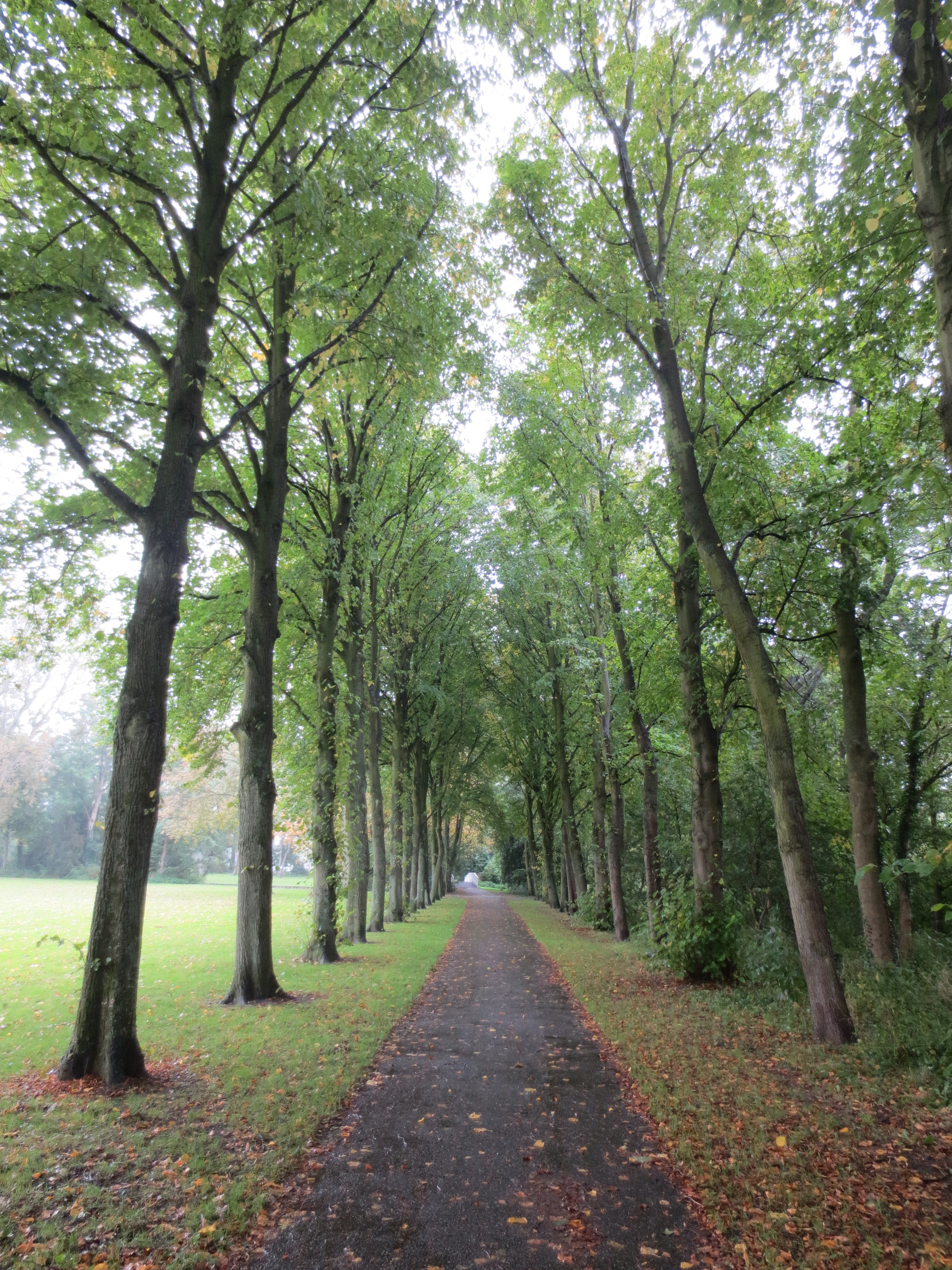 Day 28 - A day in the park
