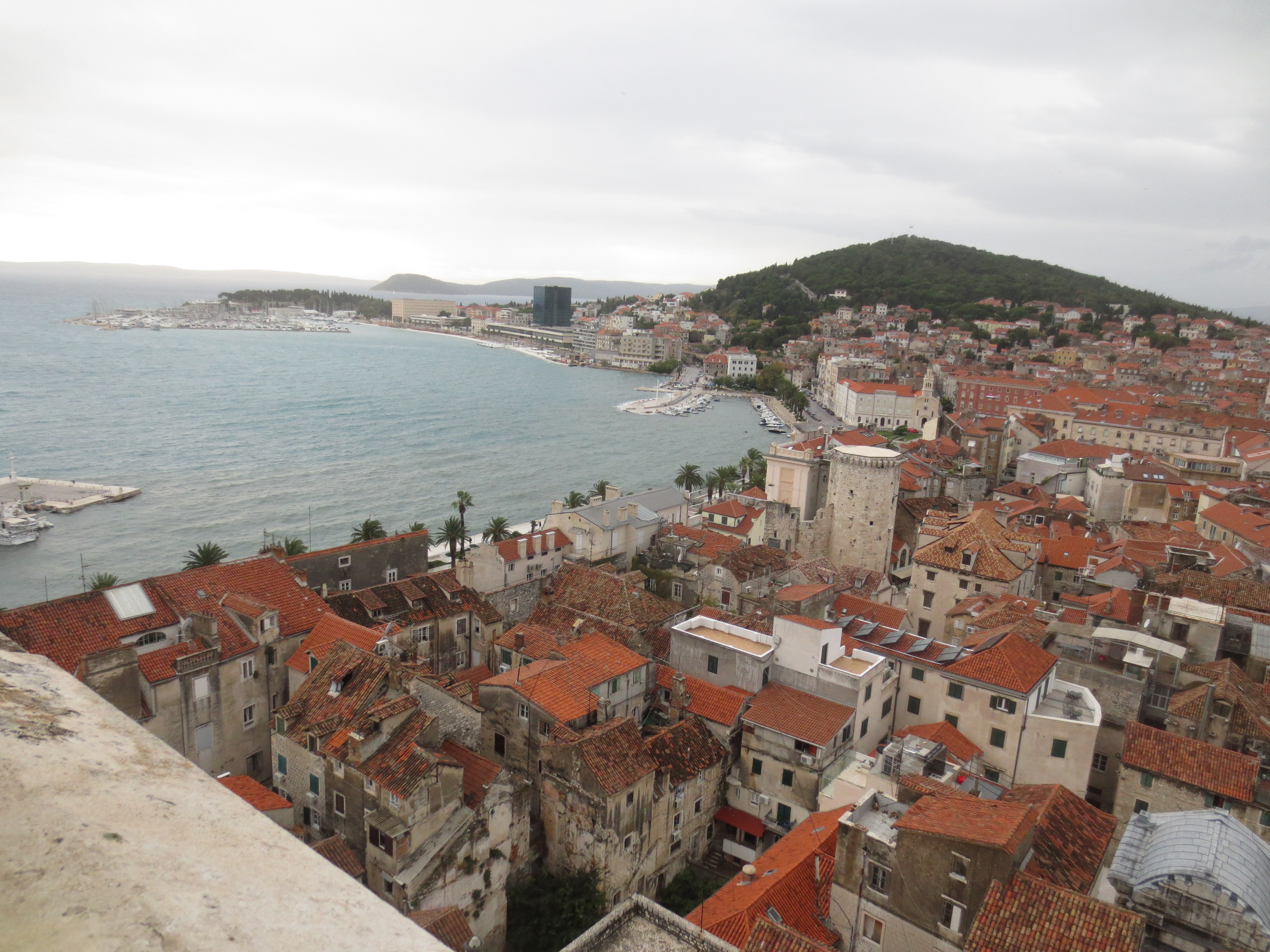 IMG_5165.JPG image