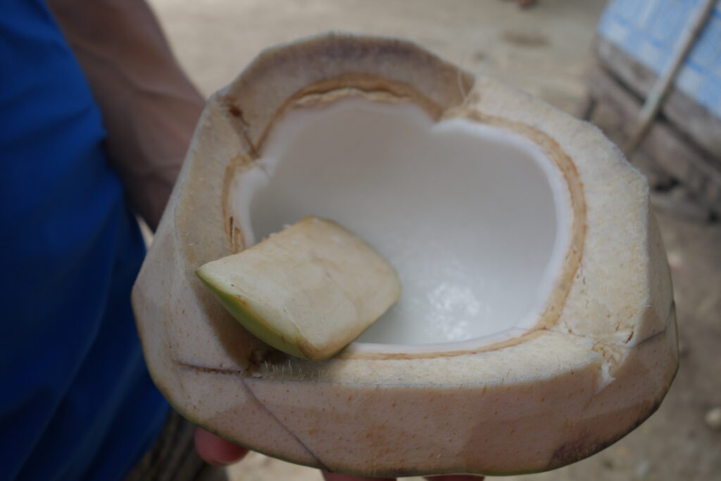 A closeup of the inside of the coconut.
