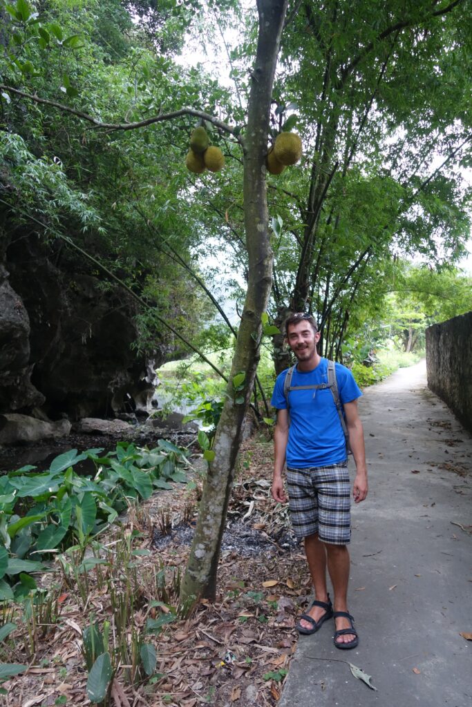 Me and a jackfruit tree.