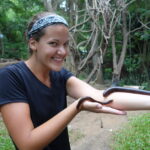 Gibbons, Bats, and Bugs, Oh My!