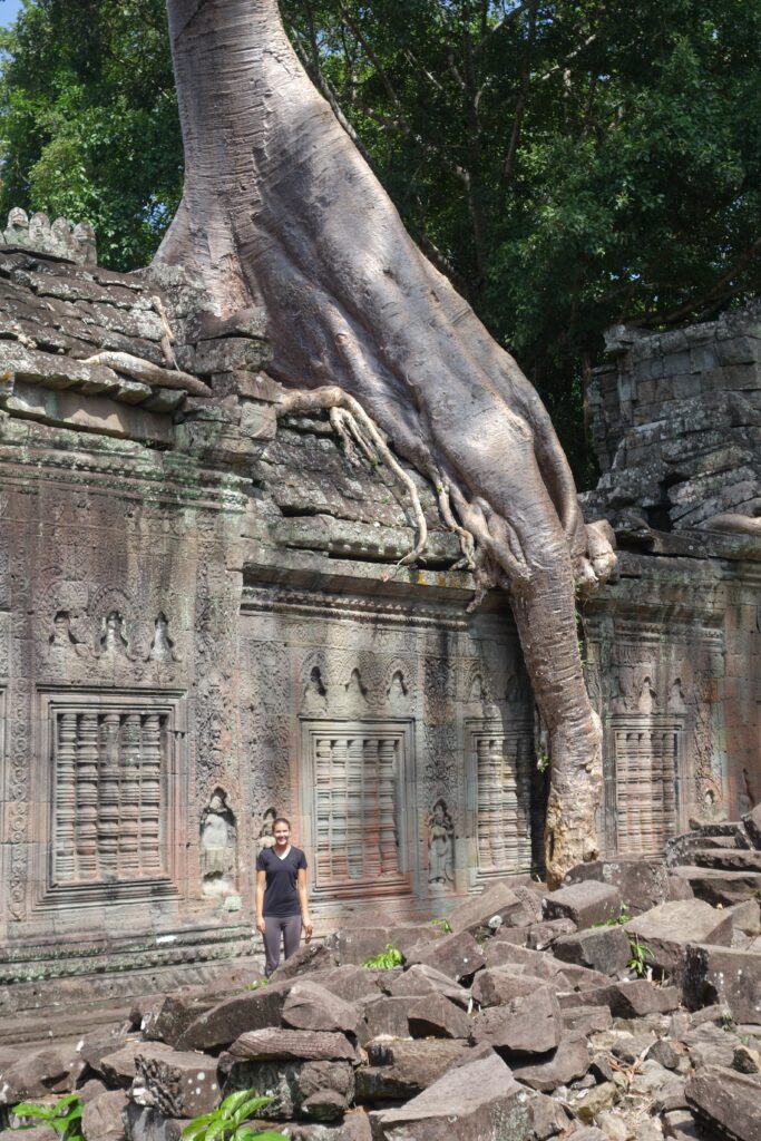 A giant strangler fig grows atop Preah Khan.