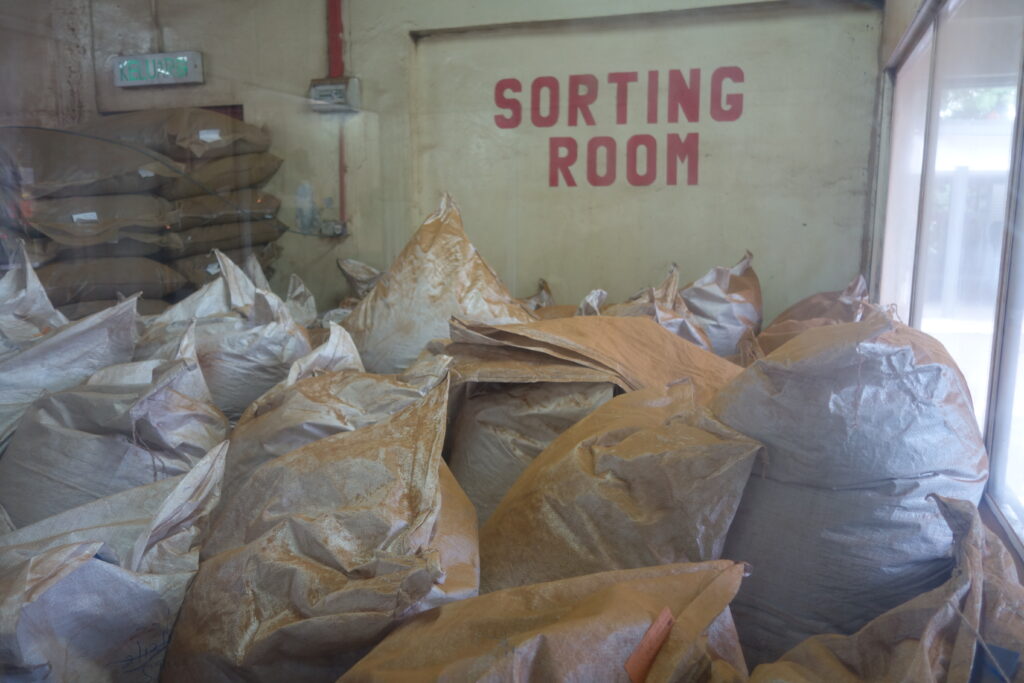 Tea sorting room with gigantic bags of tea.